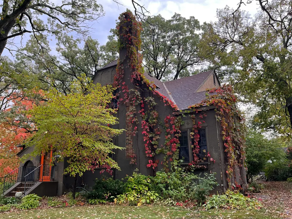 綠手指：園藝愛好者的神祕天賦