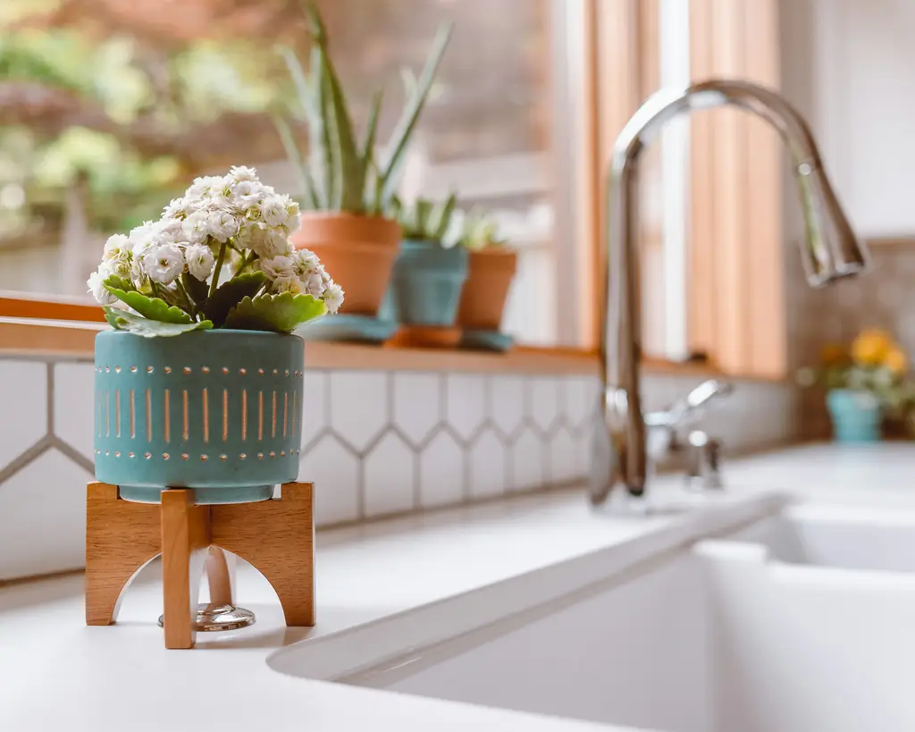 初學者種菜指南：輕鬆打造你的農場樂園