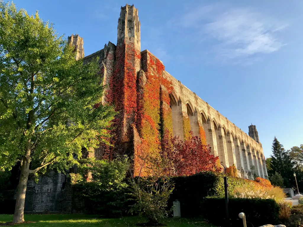 魚菜共生：魚吃什麼的奧秘
