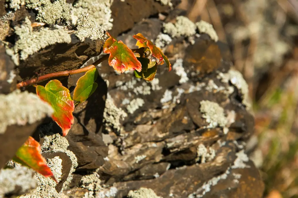 種菜工具大全：從入門到進階必備裝備